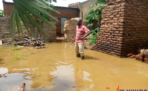 Tchad : inondations dans la Tandjilé, l’Allemagne alloue 300 000 euros à l’OIM