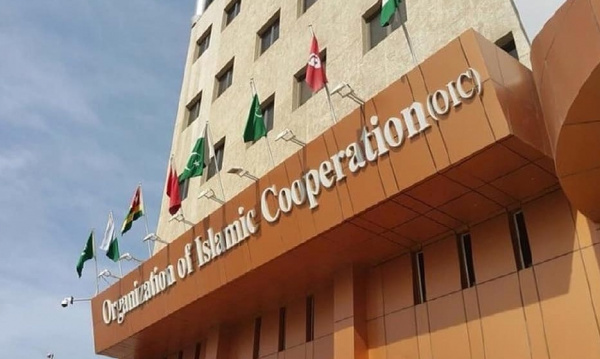 L'OCI appelle les partenaires internationaux à soutenir le Mali durant cette étape critique