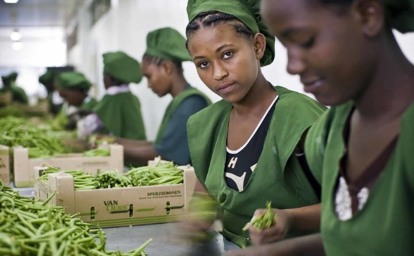 OIT : le chômage des jeunes dans le monde devrait passer à 73 millions en 2022