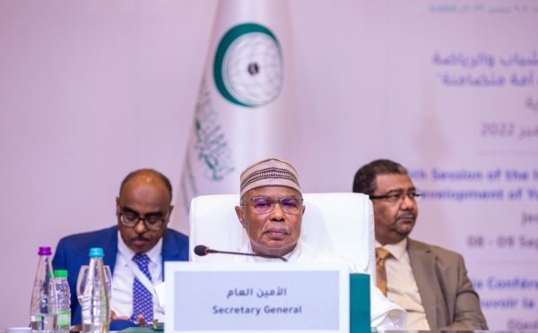 L'OCI appelle à relever les défis du chômage, de l'extrémisme, de l'asile et de l'immigration