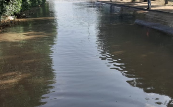 La crise climatique pourrait accroître la dette des pays africains de 1 000 milliards de dollars