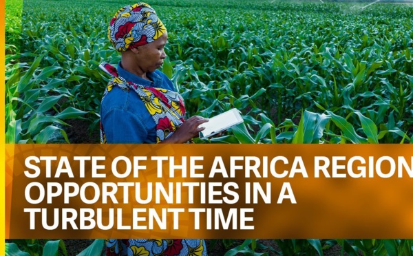 Assemblées annuelles FMI/BM : état de l’Afrique, des opportunités dans une période turbulente