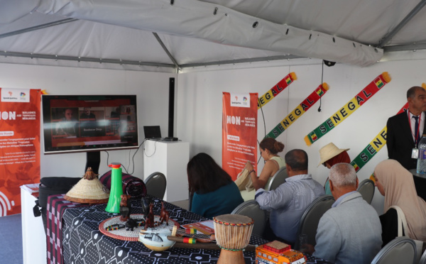 La communauté francophone de la santé appelle à accélérer les actions pour éliminer les maladies tropicales négligées