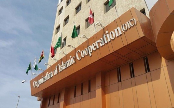 Lutte contre la violence faite aux femmes : l'OCI appelle les États membres à intensifier leurs efforts