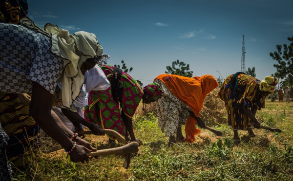 Les États-Unis et l’Europe annoncent 40 millions USD de contributions à l’Initiative d’adaptation pour l’Afrique (IAA)