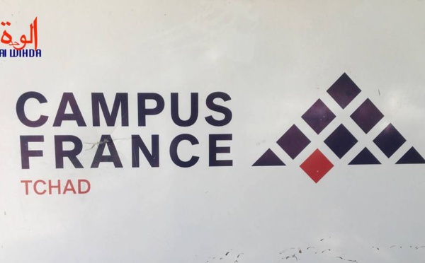Campus France : 1400 étudiants tchadiens admis dans l'enseignement supérieur pour 2022-2023