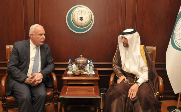 L’OCI appelle la communauté internationale à fournir une protection au peuple palestinien