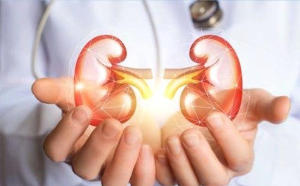 Moyen-Orient et Afrique : des lacunes dans les soins de l'insuffisance rénale chronique