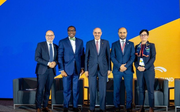 Abdulhamid Alkhalifa : « Il faut réduire les risques liés au capital pour accroître le financement du développement »