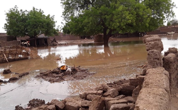 Africa pays the price of climate injustices