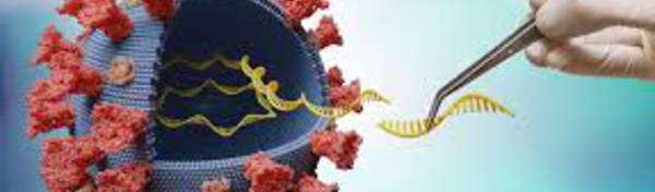 La Fondation Gates va accélérer l'innovation et la fabrication de vaccins à ARNm en Afrique et dans le monde