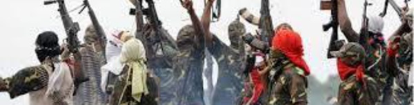 La jonction entre Boko Haram et DAESH, en passe d'être réalisée ! 