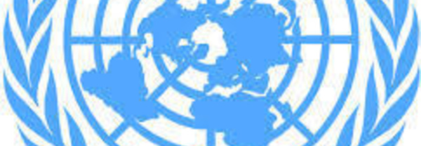 Apothéose diplomatique du Maroc à l'ONU