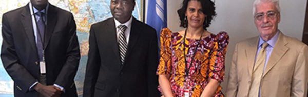 Le Tchad s’engage à travailler avec l’OACI pour améliorer la sécurité et la sûreté en Afrique centrale