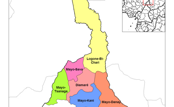 Cameroun: Onze personnes de Boko Haram arrêtées