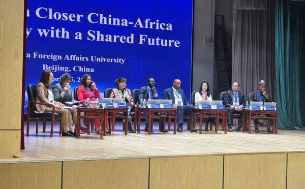 Chine : séminaire sur la promotion de l'amitié sino-africaine