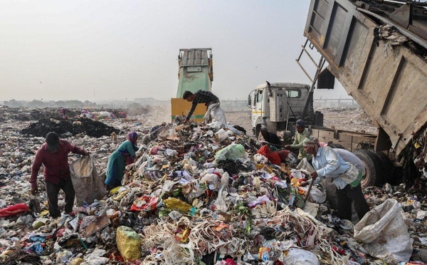 Journée mondiale de l'environnement : l'appel de Jeju au monde : « Vaincre la pollution plastique ou en être victime »