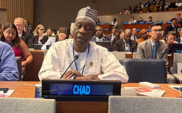 Forum politique de haut niveau 2025 : Dr Ahmat Mbodou Mahamat plaide pour un soutien financier en faveur du Tchad