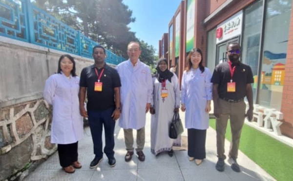 Chine : fin de mission de la délégation parlementaire tchadienne