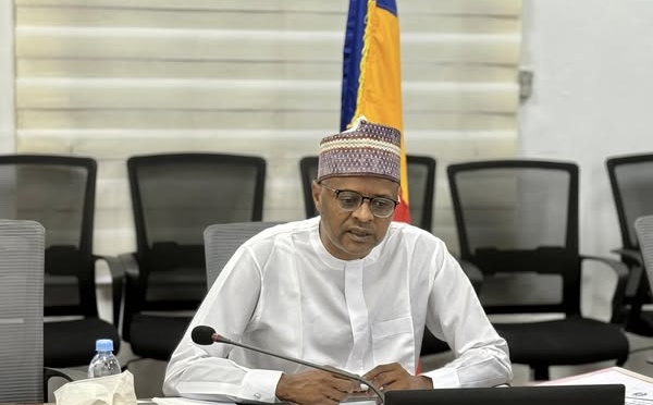 Tchad : table ronde Tchad Connexion 2030, réunion en visioconférence entre le Tchad et les Émirats Arabes Unis