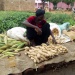 Moundou Logone Occidental marché Tchad commerce vente aliments légumes vendeuses