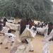  Taekwondo Abéché cérémonie
