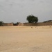 Tchad : stade municipal d'Abéché (Ouaddaï)