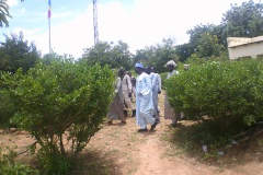 Tchad : la rafle au Sila, les civils désemparés
