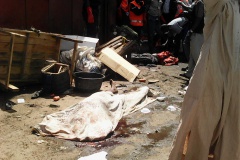 338cba02832fd8808fc564f58814a1ae1b89fbf3f13af12347d58d3a1a379959