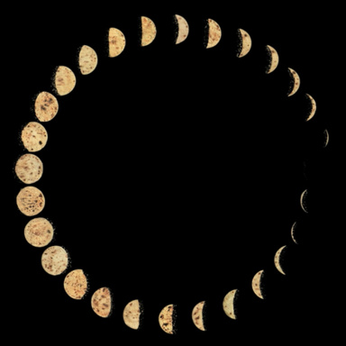 Jitish Kallat, Infinitum (here after here), 2014, Galerie Templon, Paris Jitish Kallat, Infinitum (here after here), 2014, Galerie Templon, Paris