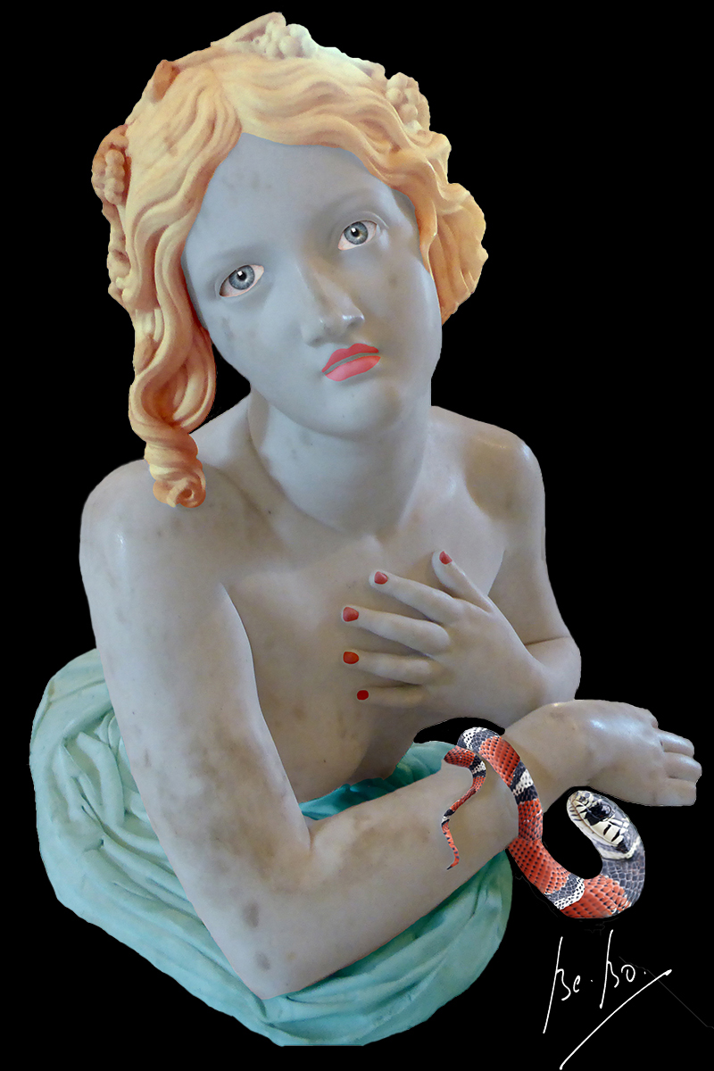 Qui pourrait imaginer une telle crauté ? Qui pourrait imaginer une telle crauté ?