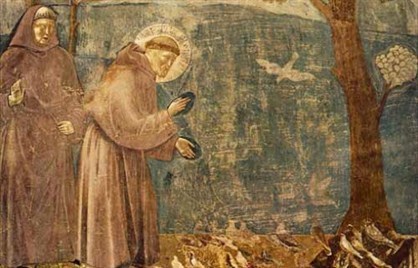 Giotto : San Francesco predica agli uccelli