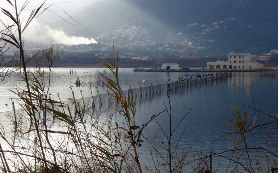 Stagno di Biguglia Paesaggi galleria a viva voce