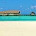 Essential Maldives (COCOA ISLAND/MALDIVES) Essential Maldives (COCOA ISLAND/MALDIVES)