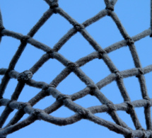 Gérer efficacement votre contenu