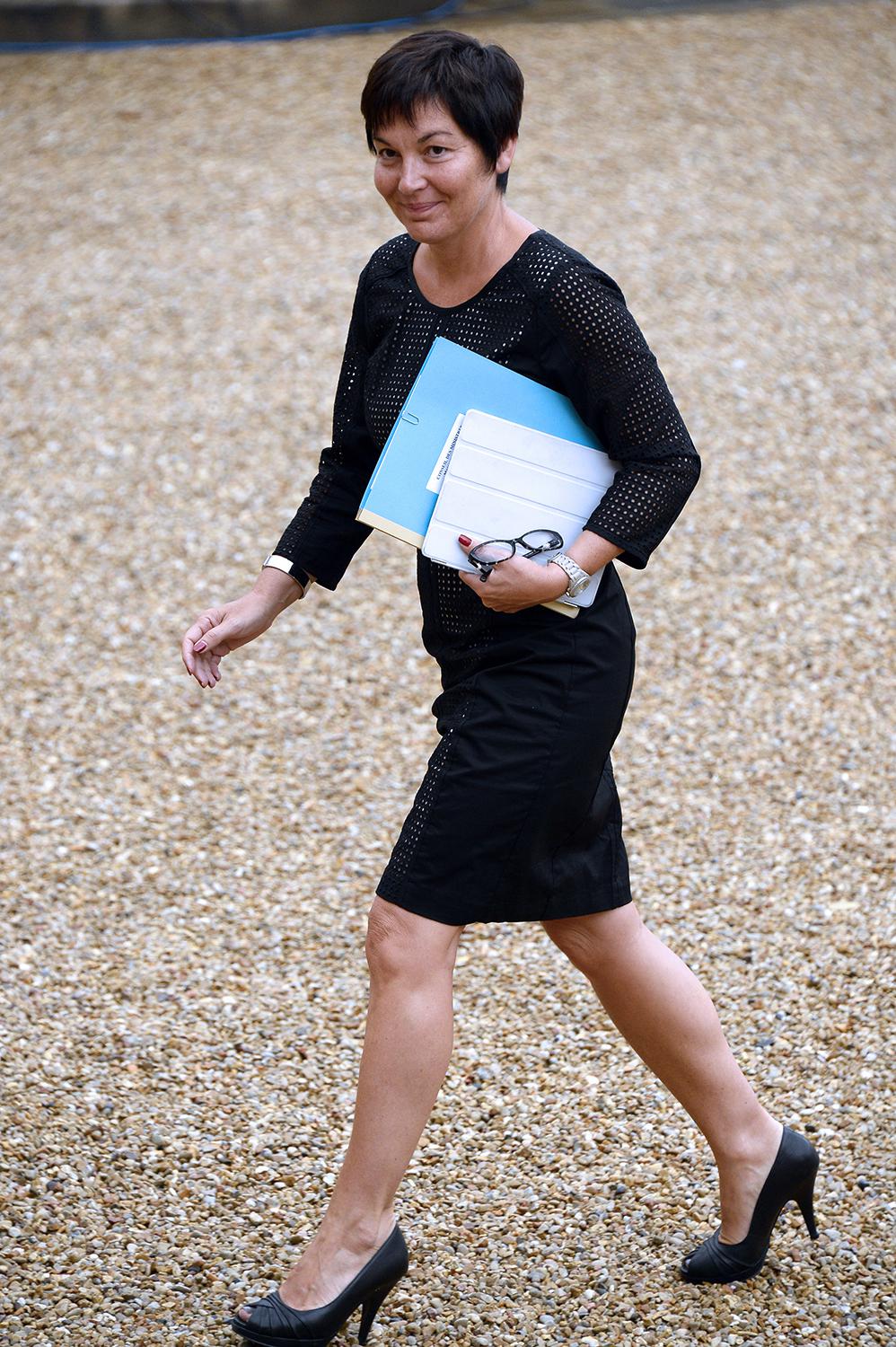 Annick Girardin (PRG), secrétaire d'Etat au Développement et à la Francophonie Annick Girardin (PRG), secrétaire d'Etat au Développement et à la Francophonie