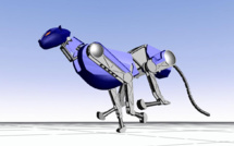 Vivre avec les robots