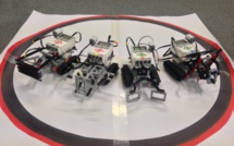 Combats de robots Sumo