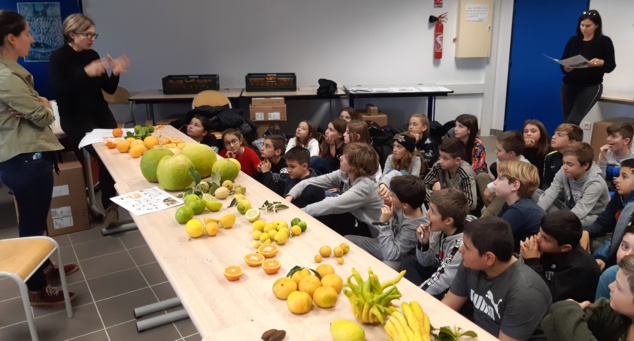 L'ottu dicembre in Biguglia