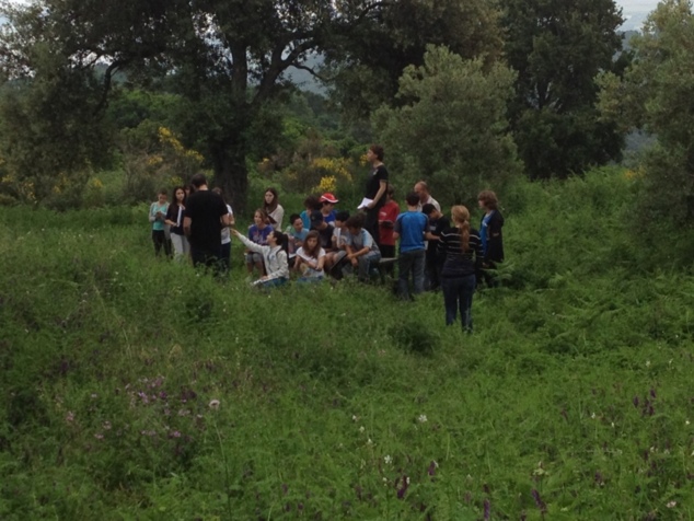 Surtita "A pieve d'Ortu"