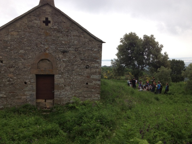 Santa Maria in Furiani