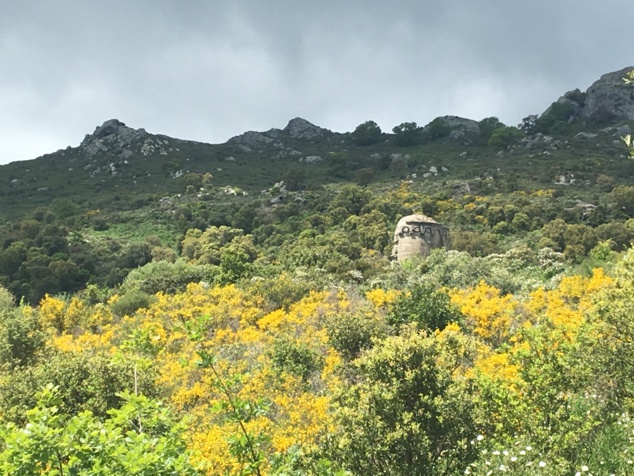 A cappella Sant'Andria in Biguglia