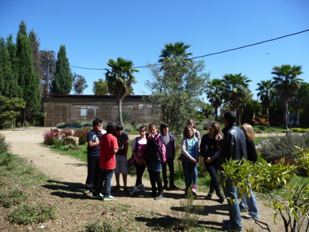 U spaziu di e piante, fiori è arburi di u Mediteraniu (a scopa, l'arbitru, a leccia...)