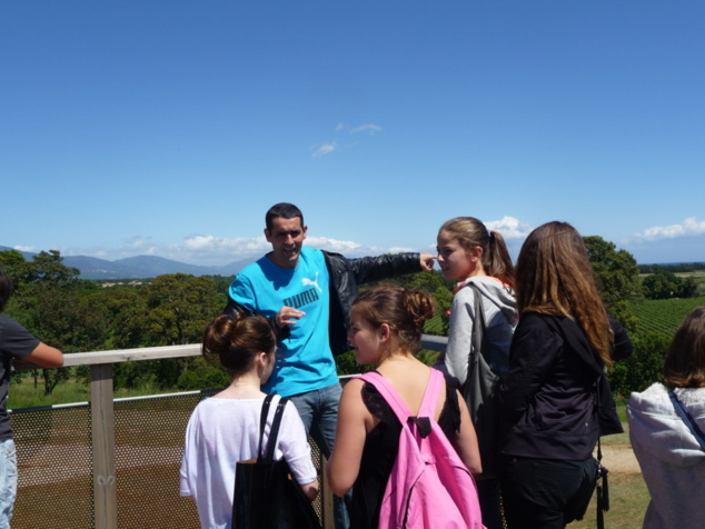 U locu si chjama "Galea". C'era u portu di Tava chì forse hà datu u nome di "Tavagna" ?