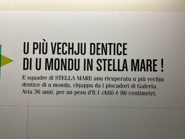 Avemu intervistatu à Antone Aiello