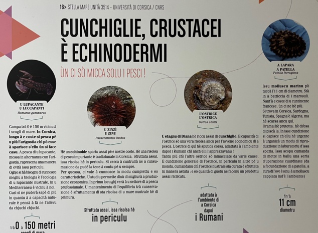 Avemu intervistatu à Antone Aiello