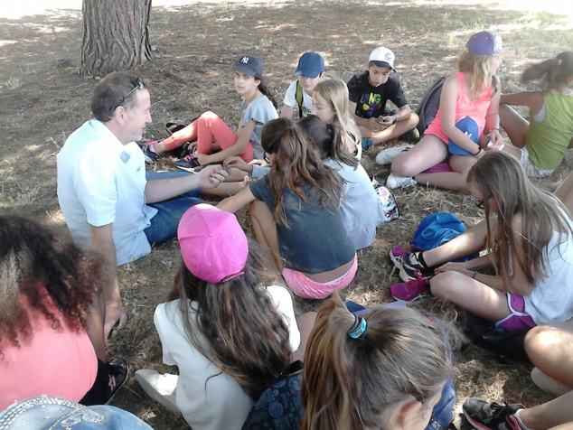 Visita di u museu è di u situ anticu d'Aleria