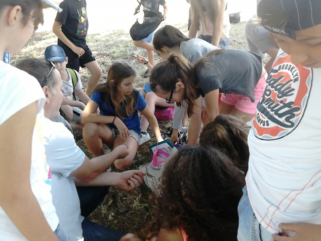 Visita di u museu è di u situ anticu d'Aleria