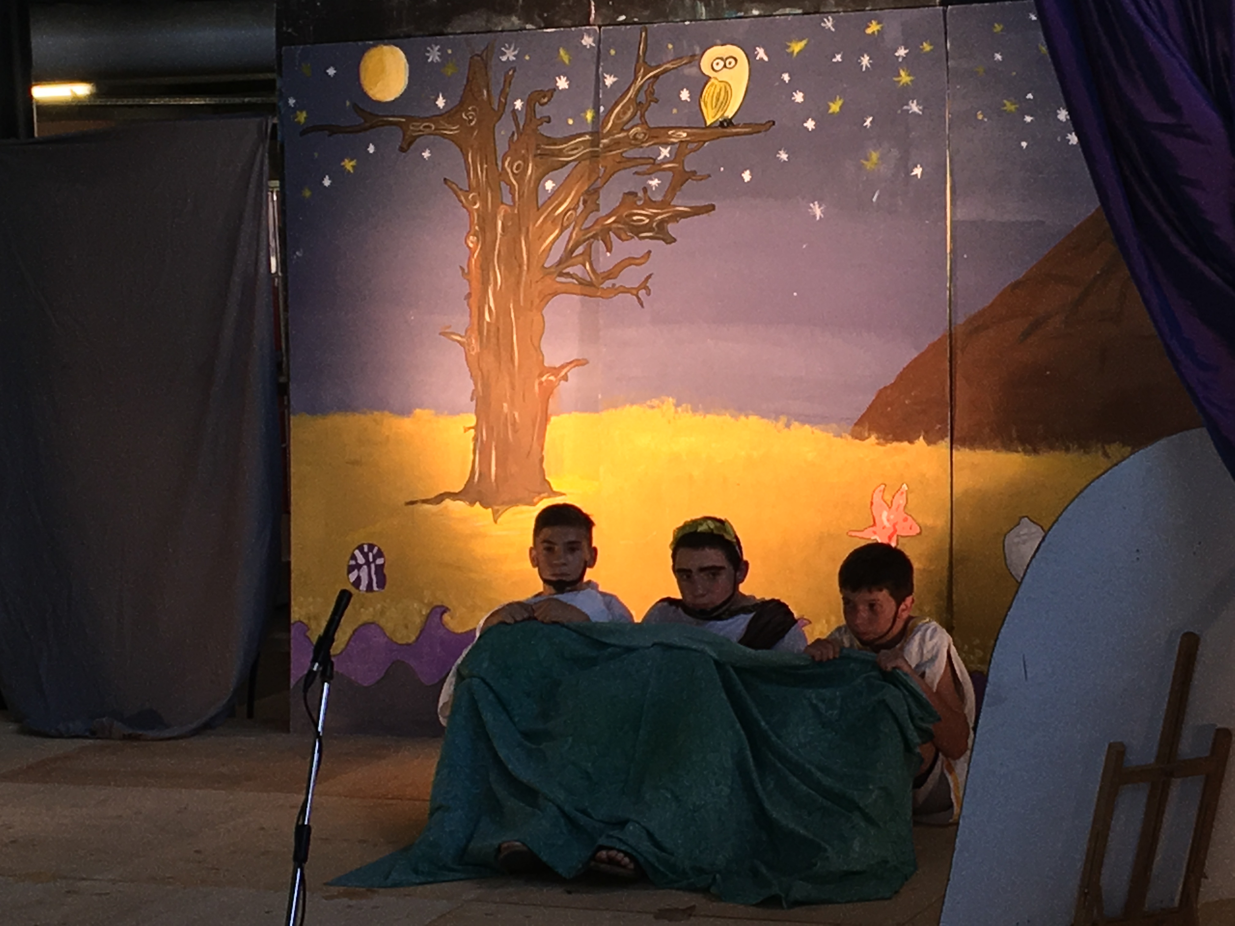 Teatru in cullegiu !