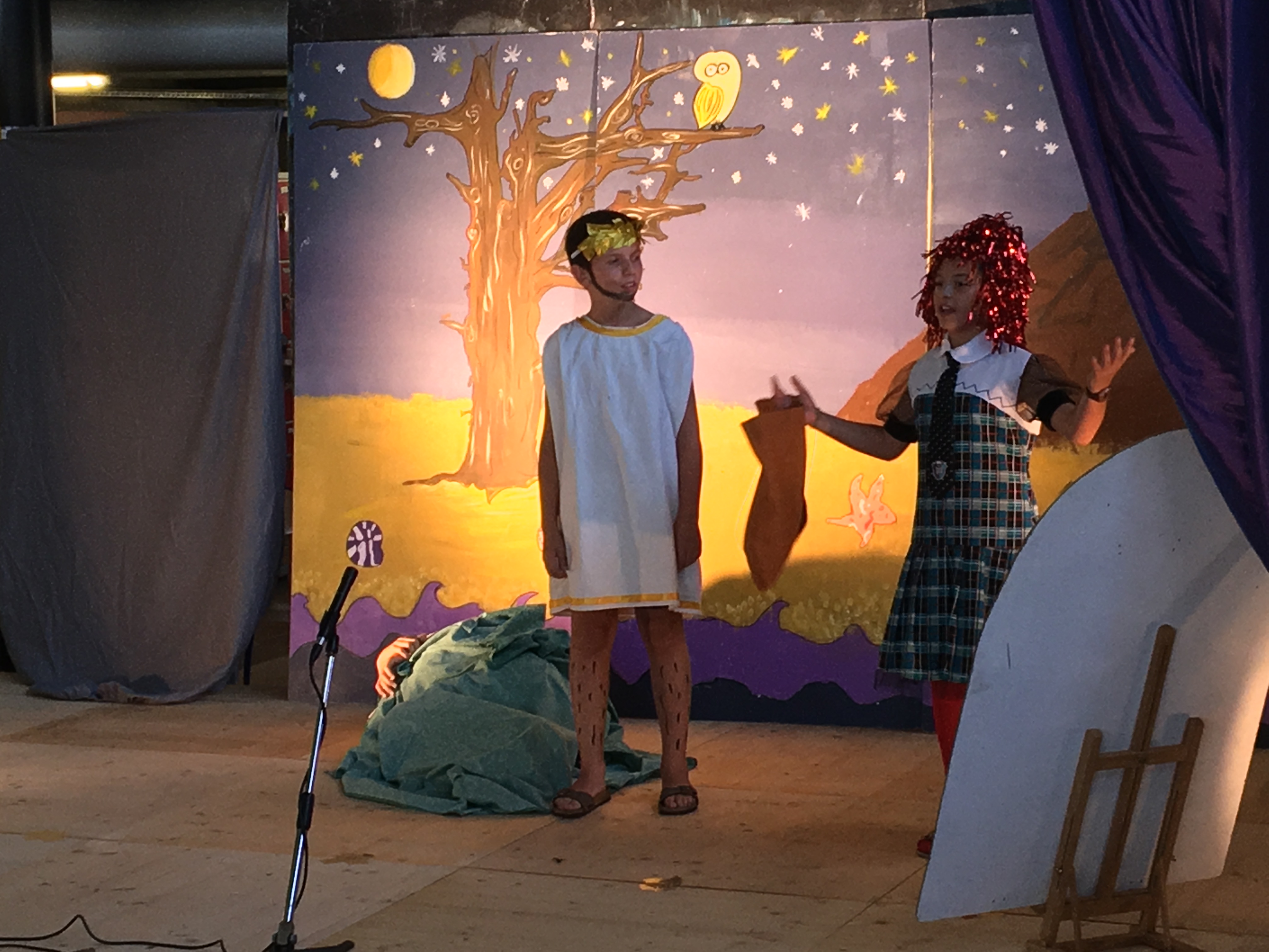 Teatru in cullegiu !